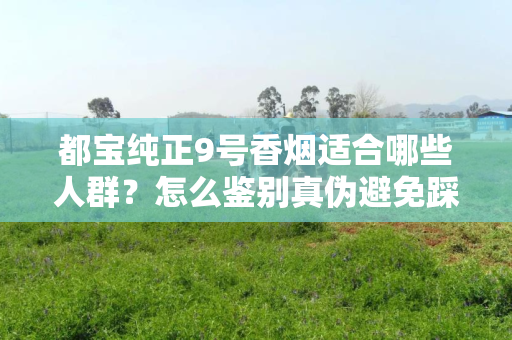 都宝纯正9号香烟适合哪些人群？怎么鉴别真伪避免踩坑？